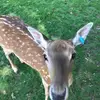 TobySellers - @tobysellers - TikTok