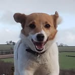 Toby Sharp - Facebook