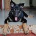 Toby Shepherd - Facebook