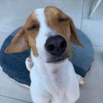 toby da silva - @toby_silva__ - Instagram