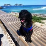 Toby Silva - @toby_silva_ - Instagram