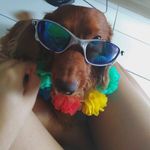 Toby silva - @toby_silvaa_06 - Instagram