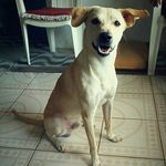 toby silva - @toby_silva5 - Instagram