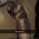 Toby - @toby.stanton7 - Instagram
