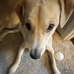 Toby!!! - @tobywinstonstanton - Instagram