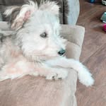 @toby_terry123 - Instagram