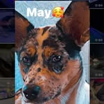 Toby Terry - @flyingfasty8 - Instagram