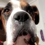 Tobyyyy - @toby.terry_ - Instagram