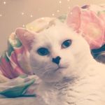 Toby Timothy Townsend - @tobyt41 - Instagram