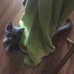 Toby Townsend - @tobyyyy.the.dog - Instagram