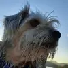 toby - @tobywarner5 - TikTok