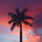 Toby Whaley - Facebook