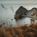 Toby Whitton - Facebook