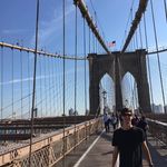 Toby Whitton - @tobywhitton - Instagram