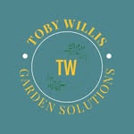 Toby Willis - @tobywillis666 - Instagram
