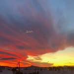 Toby Willis - @toby.willis.3950 - Instagram