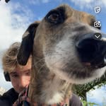 Toby Willis - @tobywillisss - Instagram