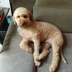 Toby Wright - @toby.wright.986 - Instagram