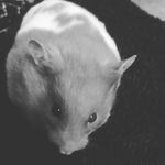 Toby Wright - @tobywright2468 - Instagram