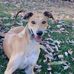 Toby Wright - Facebook