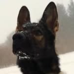 Todd Brinkerhoff - @brinkerhofftodd - Instagram