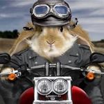 Todd Byers - @toddbyers123 - Instagram