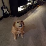 tod peterson - @todpeterson1 - Instagram