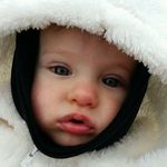 Todd Abbott - @addisongoose42 - Instagram
