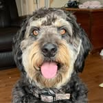 Todd Abernethy - @toddabernethy - Instagram