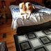 Todd Ahrens - Facebook