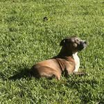 Todd Ammann - @todd_ammann - Instagram