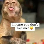 Todd Anderson - @todd_big_daddy_anderson - Instagram