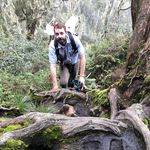 Todd Anderson - @toddandersonartist - Instagram