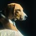 Todd Apple - Facebook