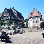 Todd Applegate - @todd_applegate - Instagram