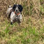 Todd Applewhite - @applewhite6377 - Instagram