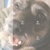 Todd Ashlock - Facebook
