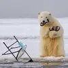 Todd Rasmussen - @todd.rasmussen1 - TikTok