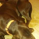 Todd Atkins - @toddatkins1969 - Instagram