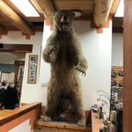 Todd Atkins - @toddatkins1965 - Instagram