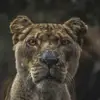 toddatkins1466 - @toddatkins1466 - TikTok
