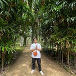 Todd Avila - @todd.av - Instagram
