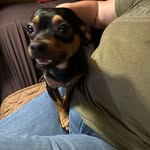Todd Ayers - @todd.ayers.372 - Instagram
