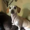 toddayers548 - @toddayers548 - TikTok