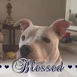 Todd Babbitt - @toddbabbitt - Instagram