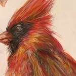 Todd Babineau - @toddbabineau620 - Instagram