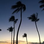 Toddy Bahama - @toddybahama - Instagram