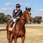 Todd Bailey - @toddlesbailey99 - Instagram