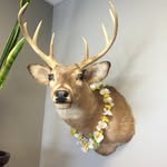 Mr. Ballinger Fan Page - @todd.ballinger - Instagram