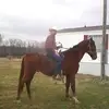 Todd Banks - @toddbanks6 - TikTok